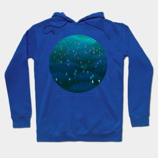 Amazonian Flight Hoodie